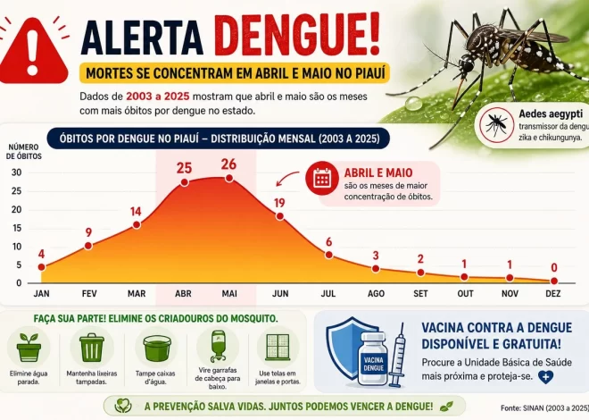 CIATEN: dengue mata mais em abril e maio no Piauí, diz levantamento
